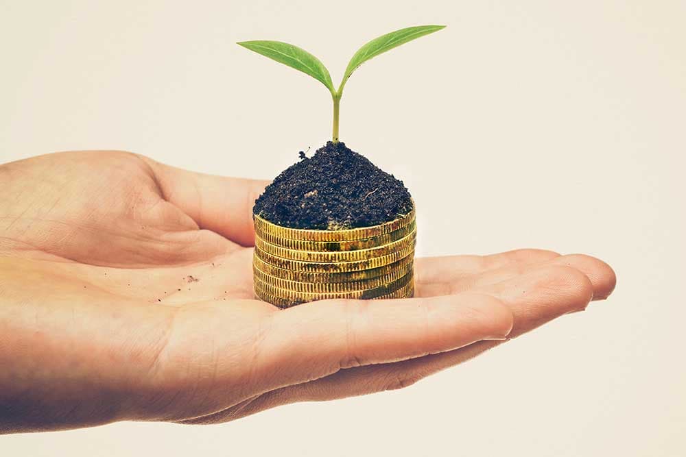 Neothink Society: A Path To Wealth Or Just Another Membership?